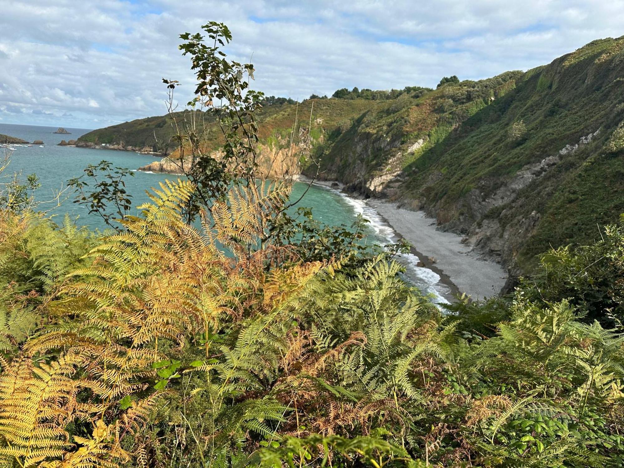 Agreable Maison A 500 M De La Plage ! Saint-Quay-Portrieux Eksteriør billede