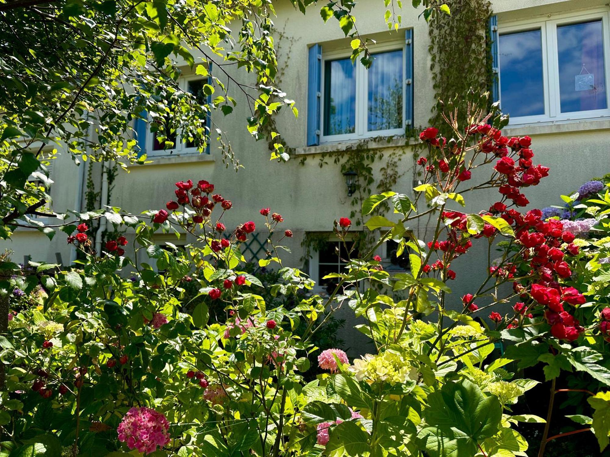 Agreable Maison A 500 M De La Plage ! Saint-Quay-Portrieux Eksteriør billede